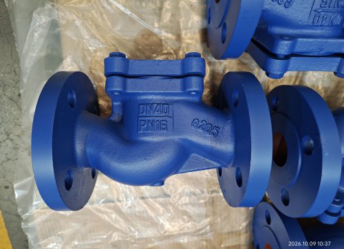 VAN MỘT CHIỀU HƠI GANG MẶT BÍCH PN16 HIỆU TURKY